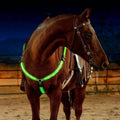 LED Breast Collar Horse | Trusted by Pet Owners — Safe, Easy to Use & Built to Last