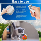 Interactive Dog Ball Toy | Screen-Free Play for Developing Minds — Kids Absolutely Love It