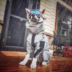 Waterproof Dogs Raincoat | Trusted by Pet Owners — Safe, Easy to Use & Built to Last