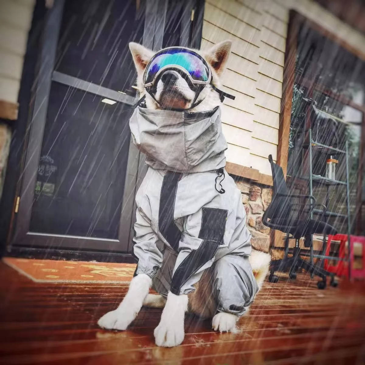 Waterproof Dogs Raincoat | Trusted by Pet Owners — Safe, Easy to Use & Built to Last