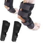Orthopedic Braces For Dogs | Trusted by Pet Owners — Safe, Easy to Use & Built to Last