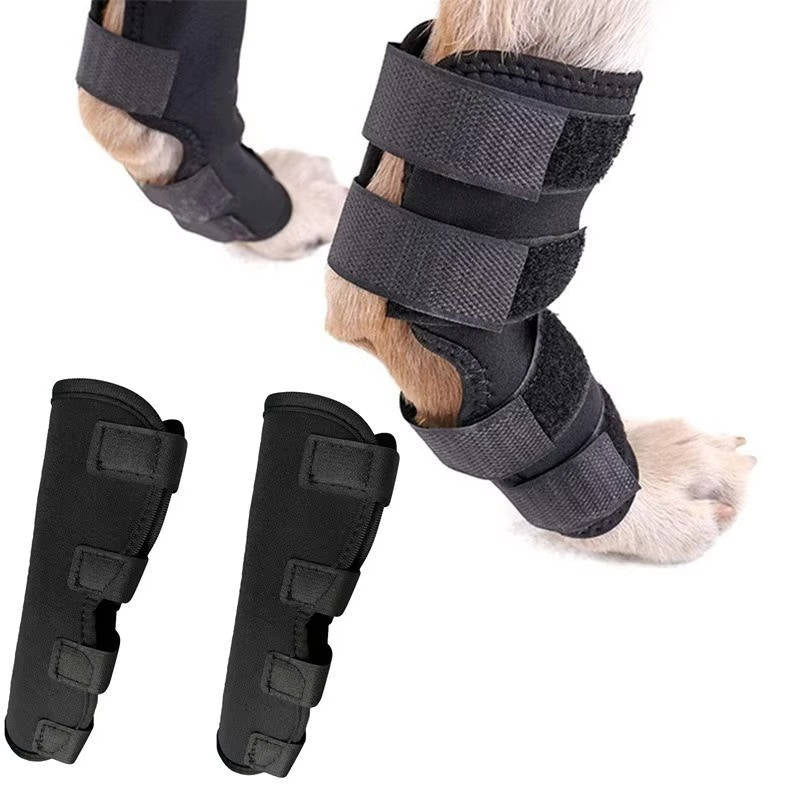 Orthopedic Braces For Dogs | Trusted by Pet Owners — Safe, Easy to Use & Built to Last
