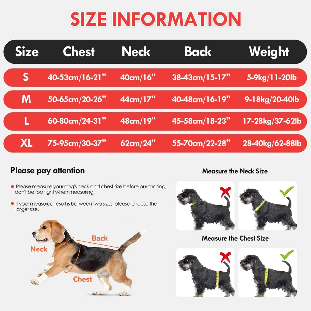 Dog Float Jacket | Durable Pet Accessory Built for Active, Playful, Energetic Pets
