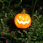 Light Up Pumpkin Decor Halloween Pathway Lights | Beautiful, Festive & Built to Last Season After Wonderful Season