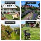Solar Ultrasonic Animal Repeller | Make Your Garden Beautiful, Functional & the Envy of the Neighbourhood