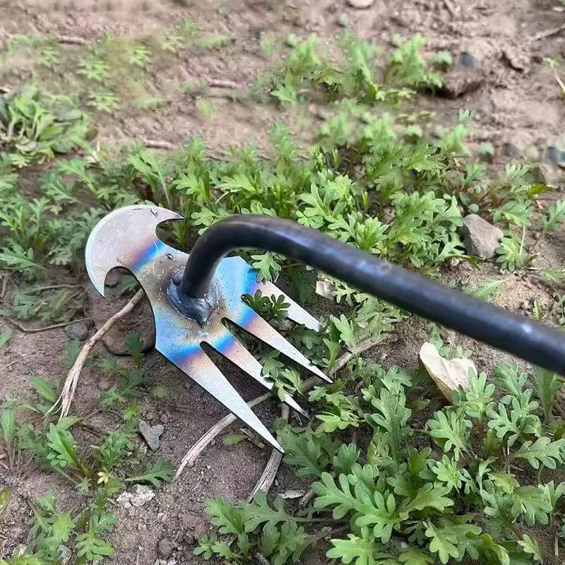 Weed Tool Remover | Practical, Durable & Designed to Make Everyday Life Easier