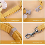 Cat Collar And Harness | Durable Pet Accessory Built for Active, Playful, Energetic Pets
