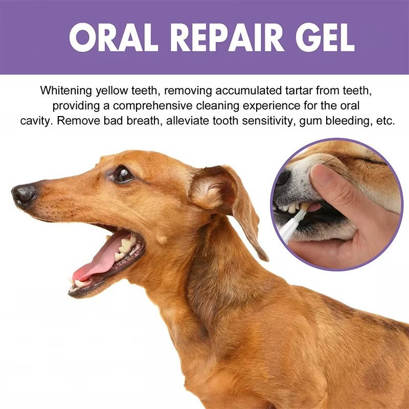 3 Set Dog Oral Repair Gel | Designed for Happy, Healthy, Well-Loved Pets of Every Breed