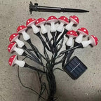 LED Solar Lights Outdoor Decorative | Make Your Garden Beautiful, Functional & the Envy of the Neighbourhood