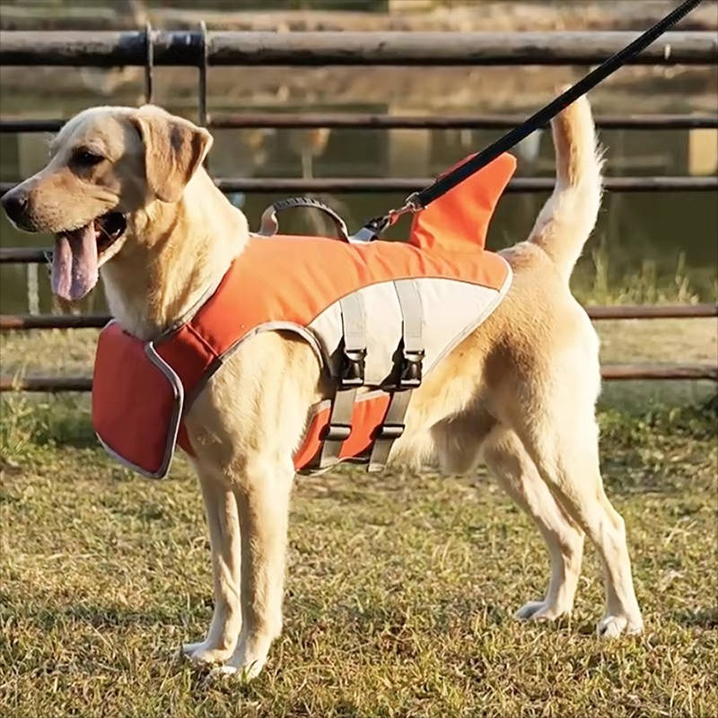 Dog Float Jacket | Durable Pet Accessory Built for Active, Playful, Energetic Pets
