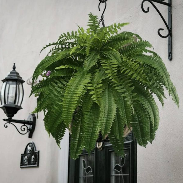 UV Resistant Lifelike Artificial Boston Fern | Practical, Beautiful & Built to Last — The Smart Choice for Any Home