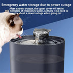 Cat Water Fountain | Premium Pet Care — Safe, Durable & Trusted by Pet Owners Everywhere