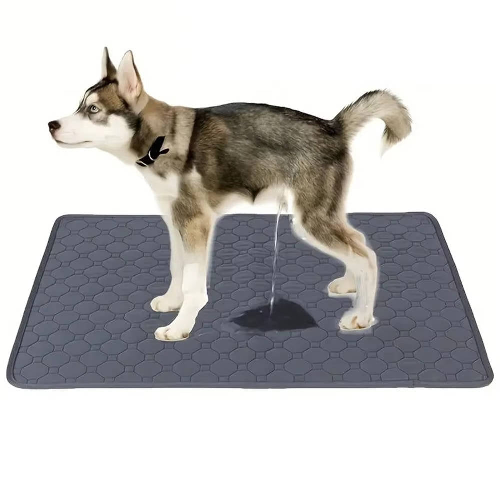 Dog Pee Pads Disposable And Reusable | Vet-Approved Pet Essential for Comfort, Safety & Wellbeing
