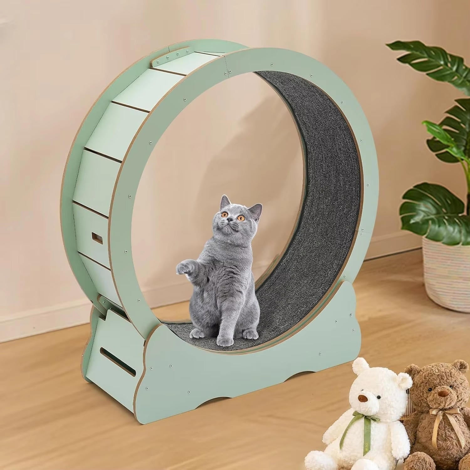 Cat Exercise Wheel | Trusted by Pet Owners — Safe, Easy to Use & Built to Last