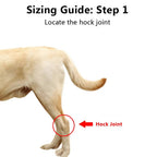 Orthopedic Braces For Dogs | Trusted by Pet Owners — Safe, Easy to Use & Built to Last