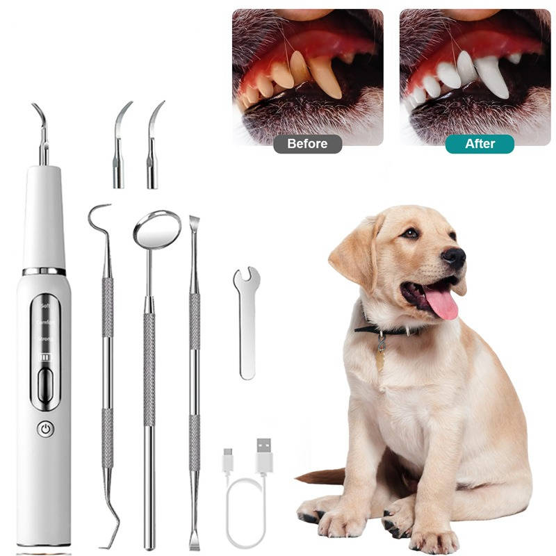 Dog Plaque Tartar Calculus Remover at Home | Trusted by Pet Owners — Safe, Easy to Use & Built to Last