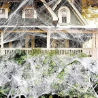 200 Sqft Spider Webs Halloween Door Decorations With Fake Spiders | Beautiful, Festive & Built to Last Season After Wonderful Season