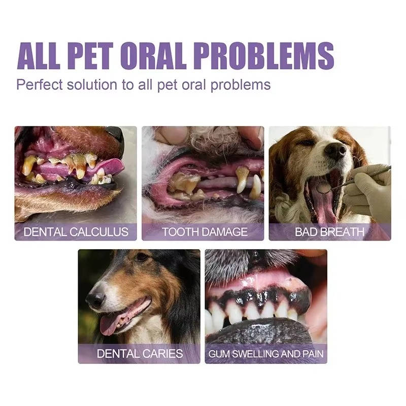 3 Set Dog Oral Repair Gel | Designed for Happy, Healthy, Well-Loved Pets of Every Breed