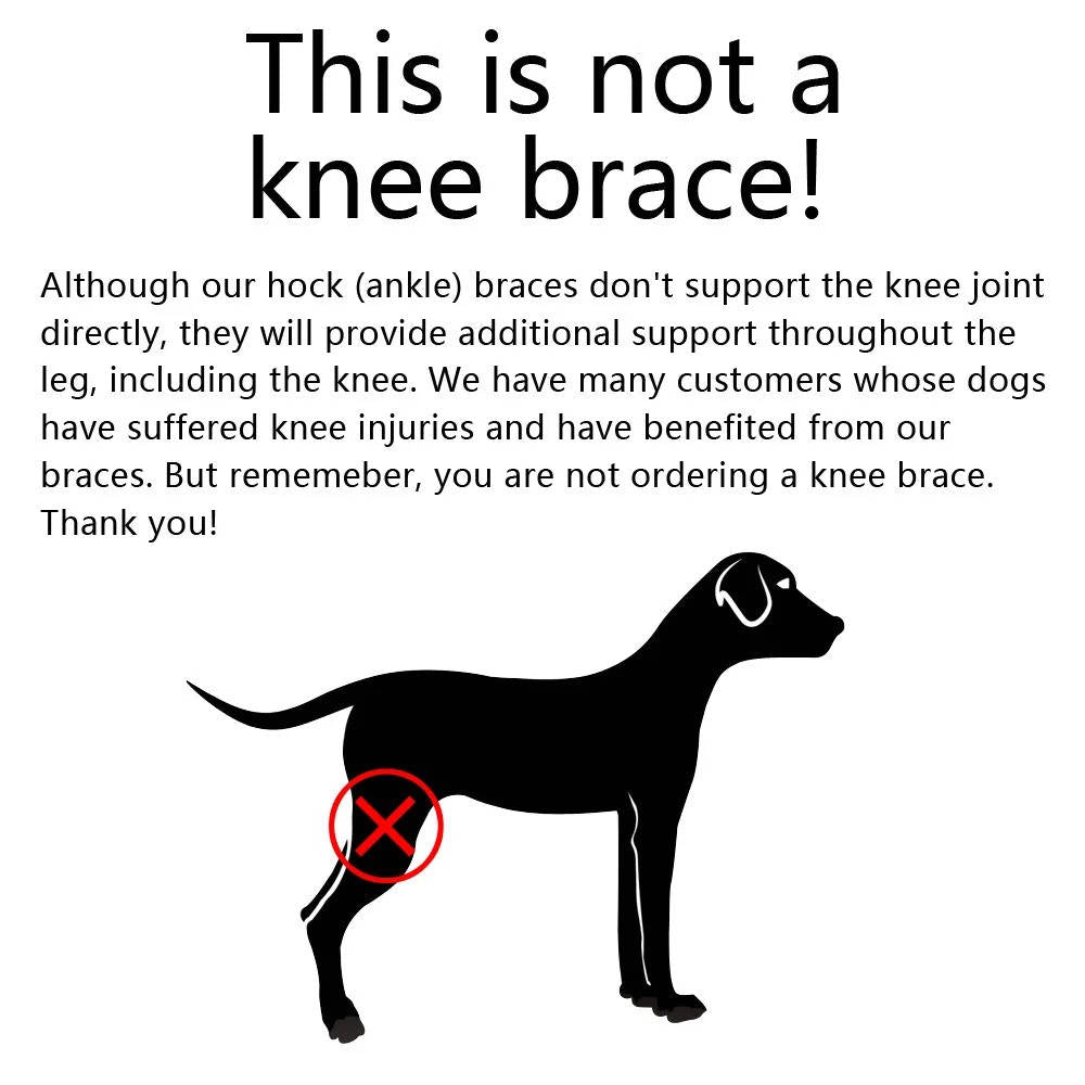 Orthopedic Braces For Dogs | Trusted by Pet Owners — Safe, Easy to Use & Built to Last