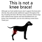 Orthopedic Braces For Dogs | Trusted by Pet Owners — Safe, Easy to Use & Built to Last