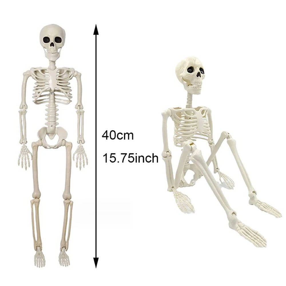 Human Skeleton Halloween Decorations Outdoor | Beautiful, Festive & Built to Last Season After Wonderful Season