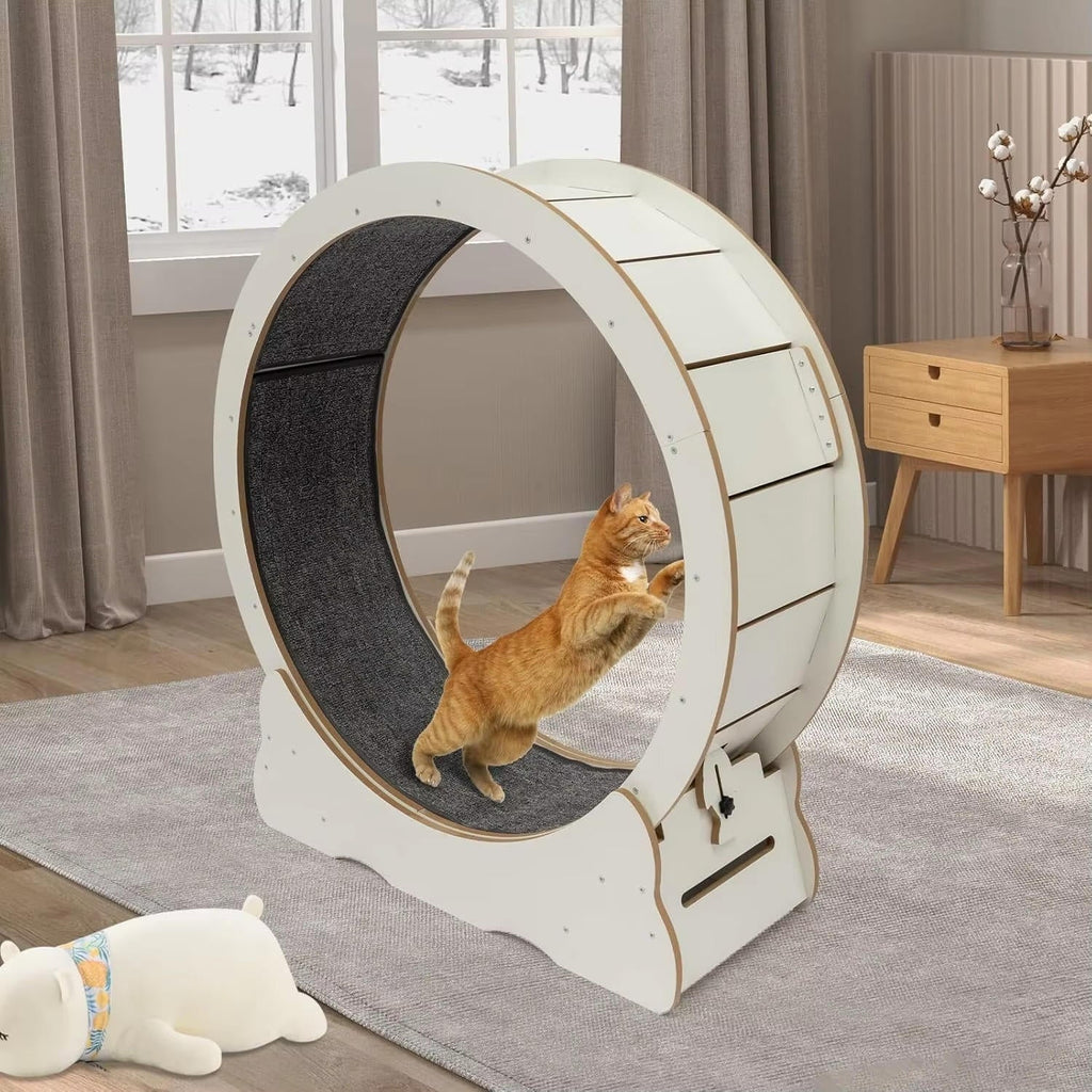 Cat Exercise Wheel | Trusted by Pet Owners — Safe, Easy to Use & Built to Last