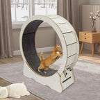 Cat Exercise Wheel | Trusted by Pet Owners — Safe, Easy to Use & Built to Last