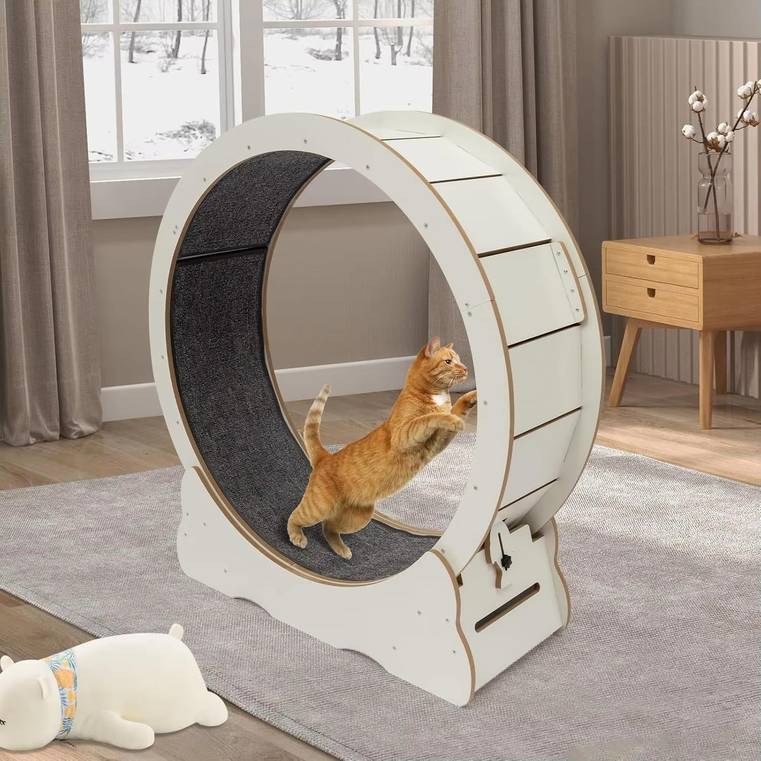 Cat Exercise Wheel | Trusted by Pet Owners — Safe, Easy to Use & Built to Last