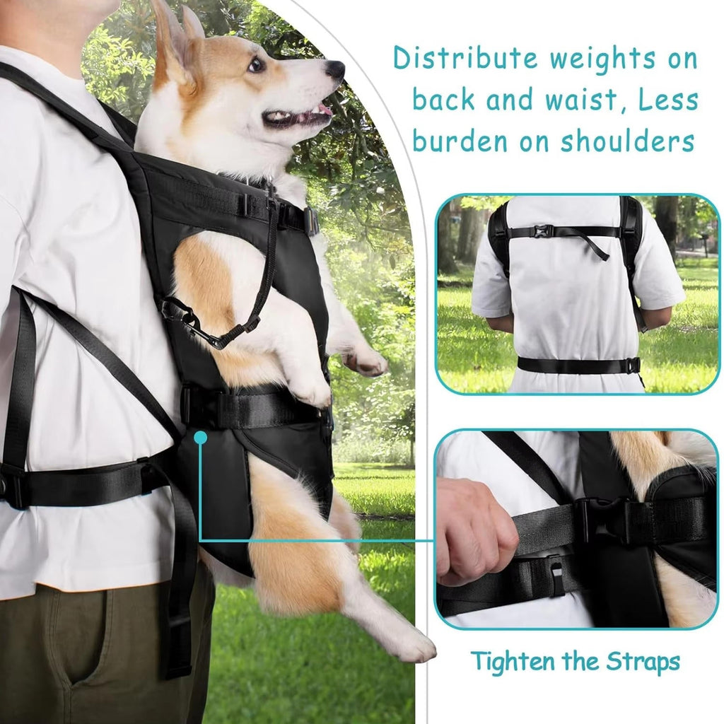 Dog Carrying Backpack | Designed for Happy, Healthy, Well-Loved Pets of Every Breed