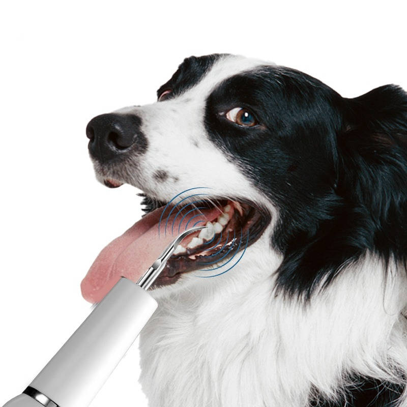 Dog Plaque Tartar Calculus Remover at Home | Trusted by Pet Owners — Safe, Easy to Use & Built to Last