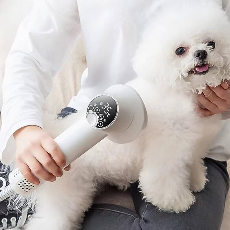 Pet Hair Dryer | Vet-Approved Pet Essential for Comfort, Safety & Wellbeing
