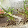 Multifunctional Weed Puller Tool for Brick Joints | Make Your Garden Beautiful, Functional & the Envy of the Neighbourhood