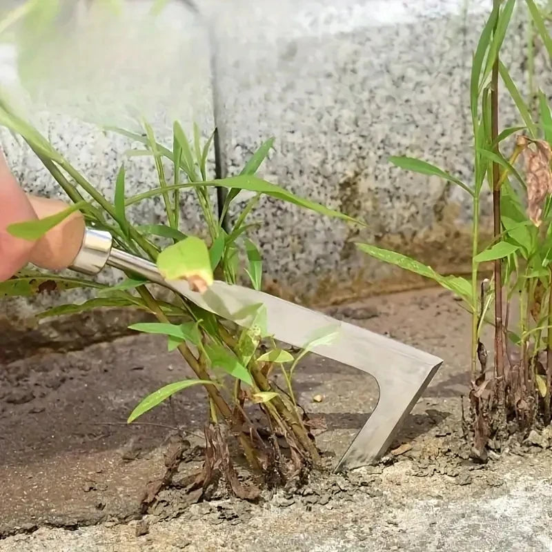 Multifunctional Weed Puller Tool for Brick Joints | Make Your Garden Beautiful, Functional & the Envy of the Neighbourhood
