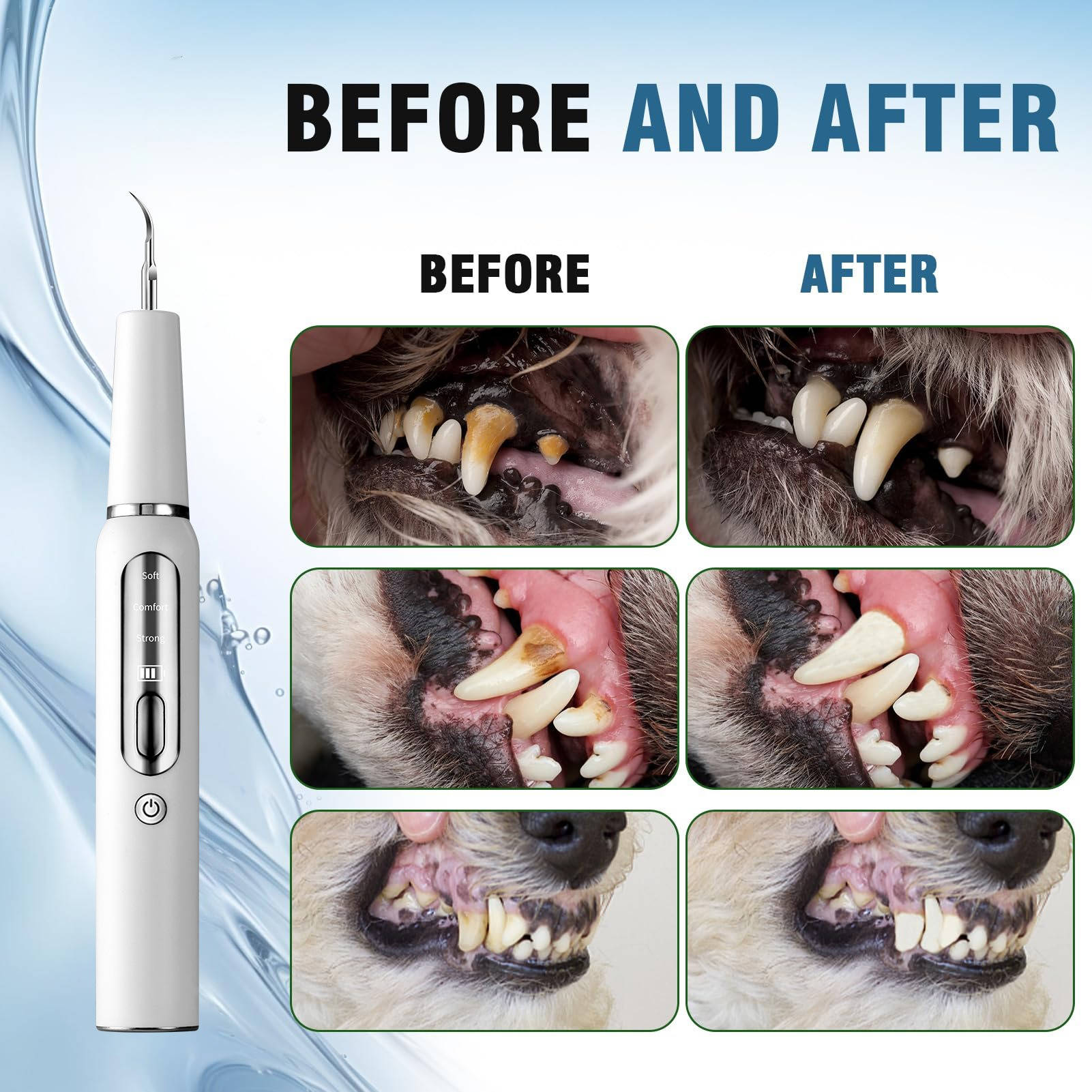 Dog Plaque Tartar Calculus Remover at Home | Trusted by Pet Owners — Safe, Easy to Use & Built to Last