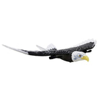 Remote Control Eagle Bird | Vet-Approved Pet Essential for Comfort, Safety & Wellbeing