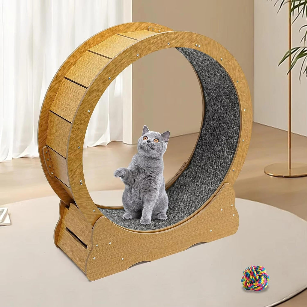 Cat Exercise Wheel | Trusted by Pet Owners — Safe, Easy to Use & Built to Last