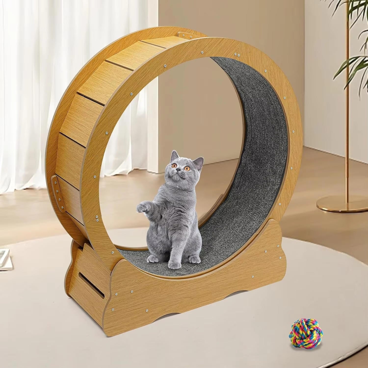 Cat Exercise Wheel | Trusted by Pet Owners — Safe, Easy to Use & Built to Last