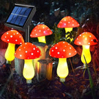 LED Solar Lights Outdoor Decorative | Make Your Garden Beautiful, Functional & the Envy of the Neighbourhood