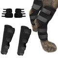 Orthopedic Braces For Dogs | Trusted by Pet Owners — Safe, Easy to Use & Built to Last