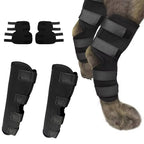 Orthopedic Braces For Dogs | Trusted by Pet Owners — Safe, Easy to Use & Built to Last