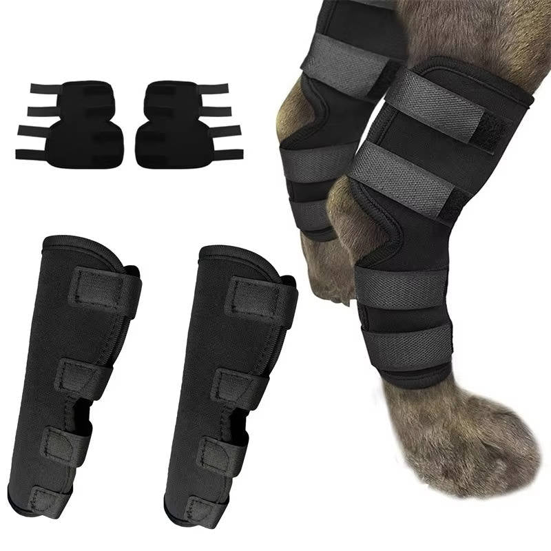 Orthopedic Braces For Dogs | Trusted by Pet Owners — Safe, Easy to Use & Built to Last