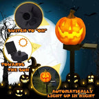 Light Up Pumpkin Decor Halloween Pathway Lights | Beautiful, Festive & Built to Last Season After Wonderful Season
