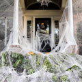 200 Sqft Spider Webs Halloween Door Decorations With Fake Spiders | Beautiful, Festive & Built to Last Season After Wonderful Season