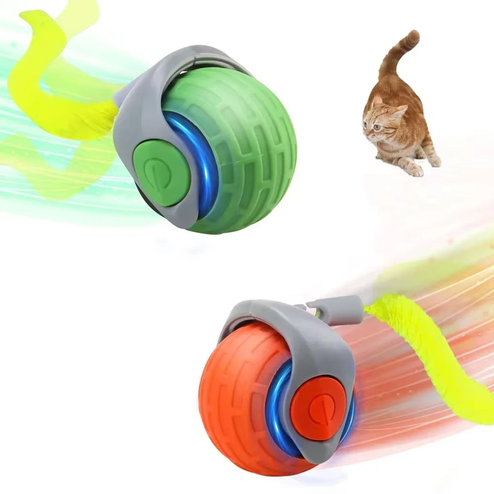 Moving Cat Toy | Fun & Educational Toy for Curious, Creative, Confident Kids