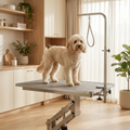 Calm dog standing on a Buddies professional height-adjustable dog grooming table