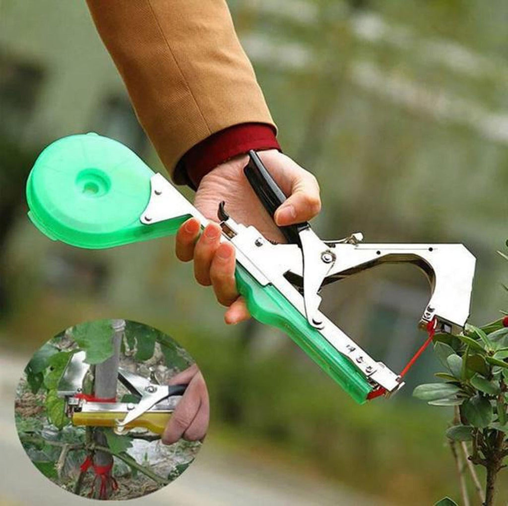 Plant strappers | Easy-Care Garden Essential That Transforms Any Outdoor Space