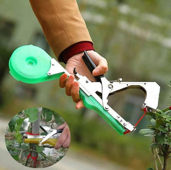 Plant strappers | Easy-Care Garden Essential That Transforms Any Outdoor Space