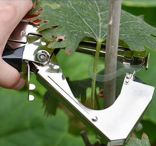 Plant strappers | Easy-Care Garden Essential That Transforms Any Outdoor Space