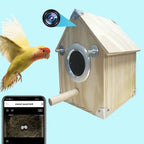 Bird Watching Nesting Feeder Nest Cam Box with Camera | Make Your Garden Beautiful, Functional & the Envy of the Neighbourhood
