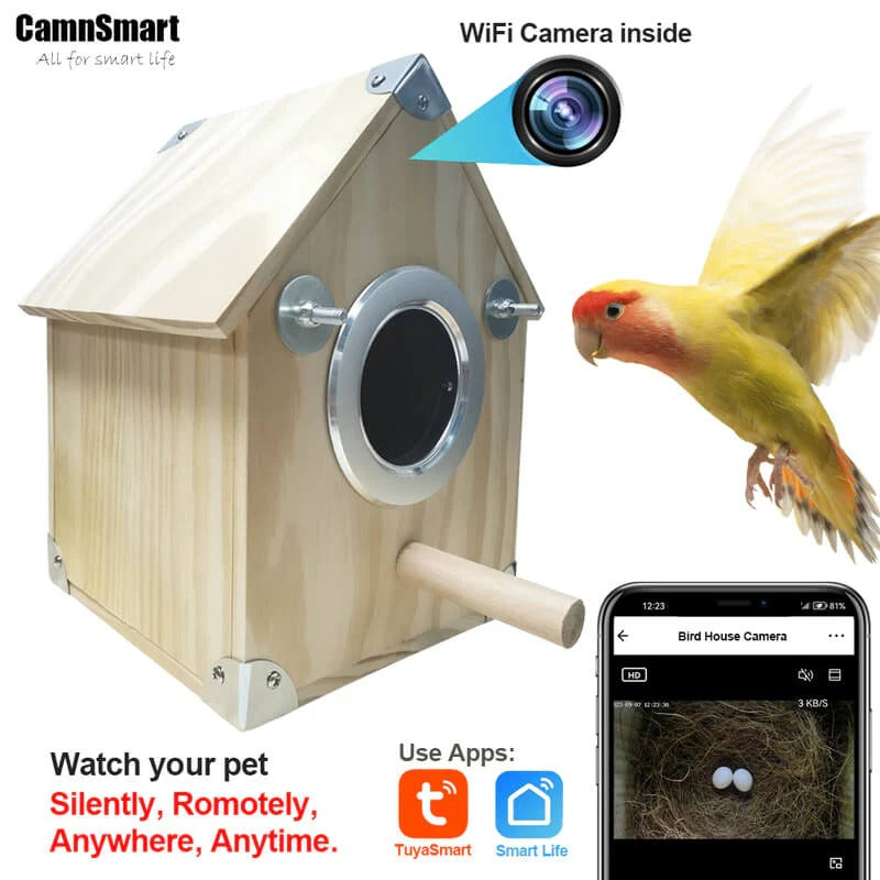 Bird Watching Nesting Feeder Nest Cam Box with Camera | Make Your Garden Beautiful, Functional & the Envy of the Neighbourhood